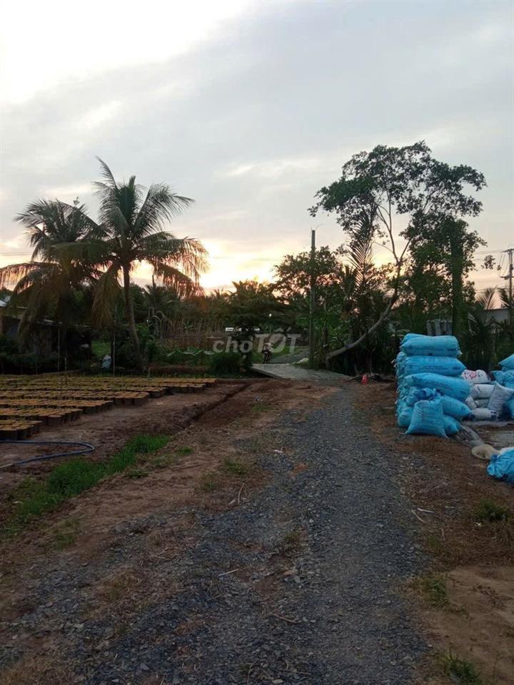 Bán đất 6m x 25m (CLN)