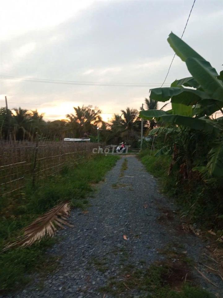 Bán đất 6m x 25m (CLN)
