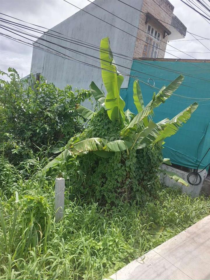 BÁN ĐẤT NỀN THỔ CƯ 