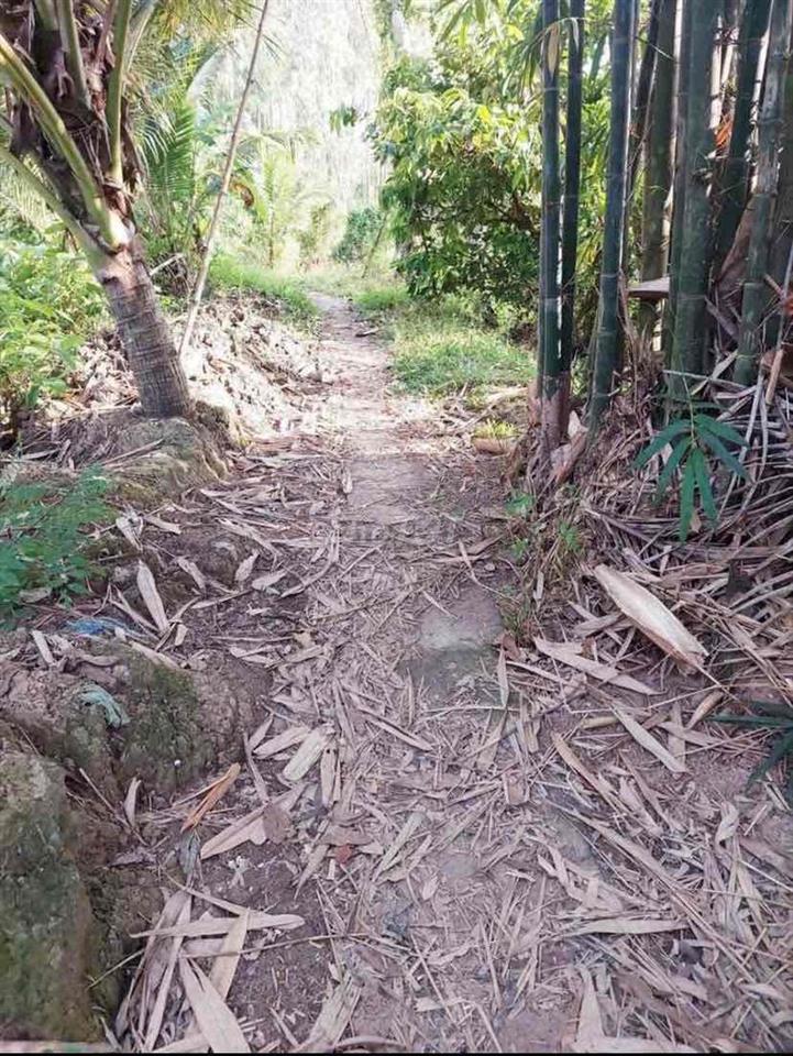 Bán nền thổ cư giá rẻ