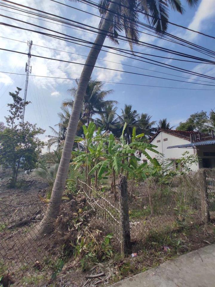 BÁN GẤP ĐẤT VƯỜN VIEW SÔNG