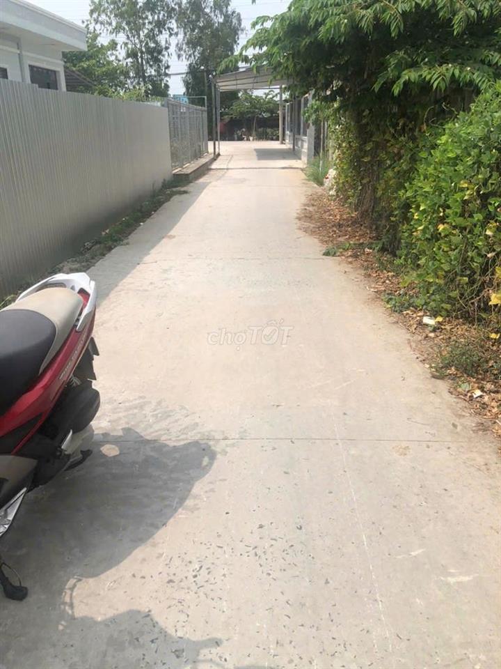 Bán nền Thốt Nốt