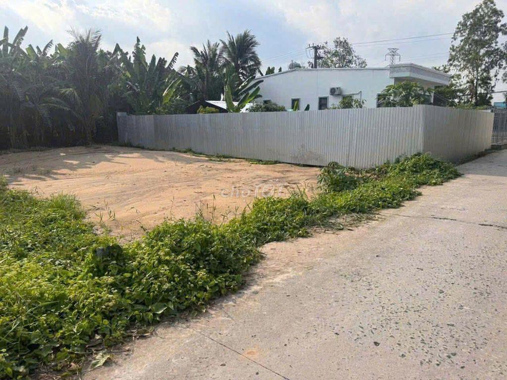Bán nền Thốt Nốt