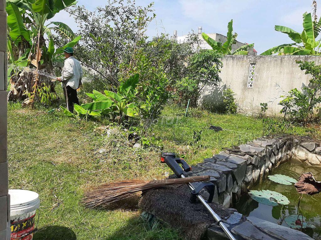 Đất cây lâu năm gần sân bay xây nhà vườn