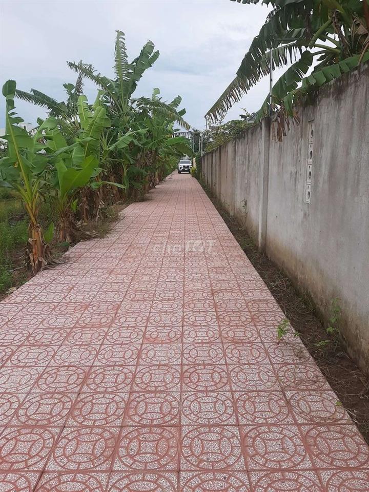 Đất cây lâu năm gần sân bay xây nhà vườn