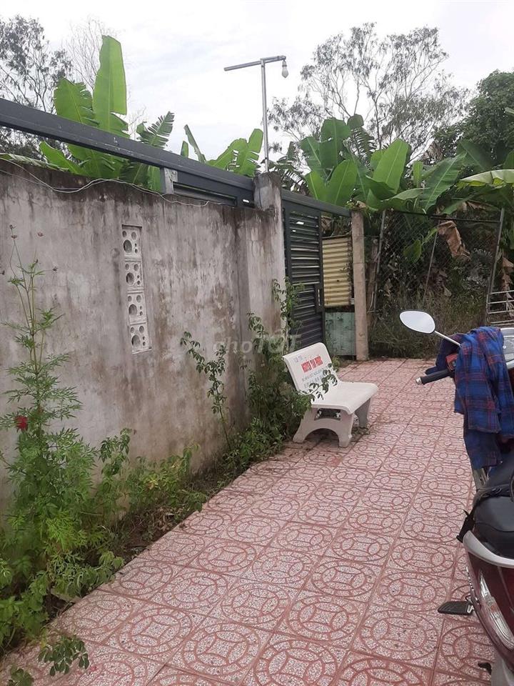 Đất cây lâu năm gần sân bay xây nhà vườn