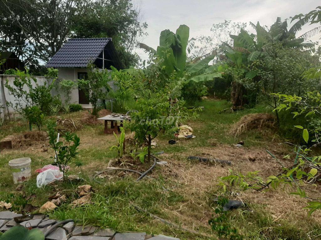 Đất cây lâu năm gần sân bay xây nhà vườn