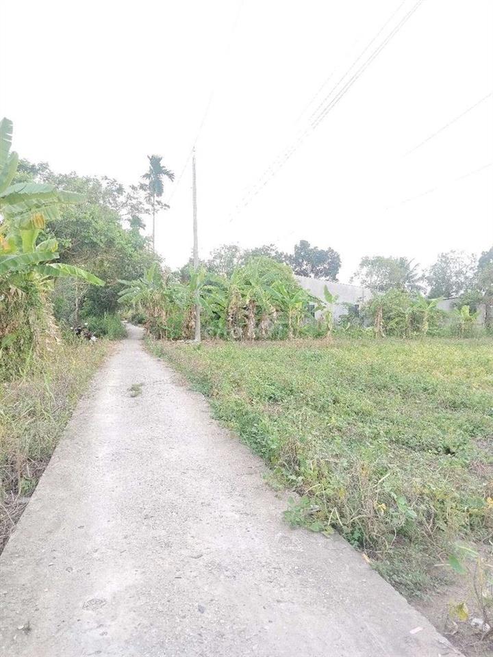 đất nền thổ cư