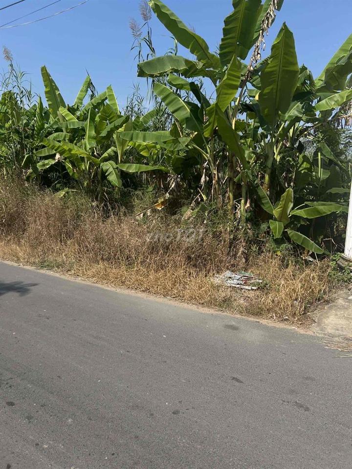Bán đất thổ cư giá rẻ đường Nguyễn Viết Xuân, Bình Thuỷ, Cần Thơ