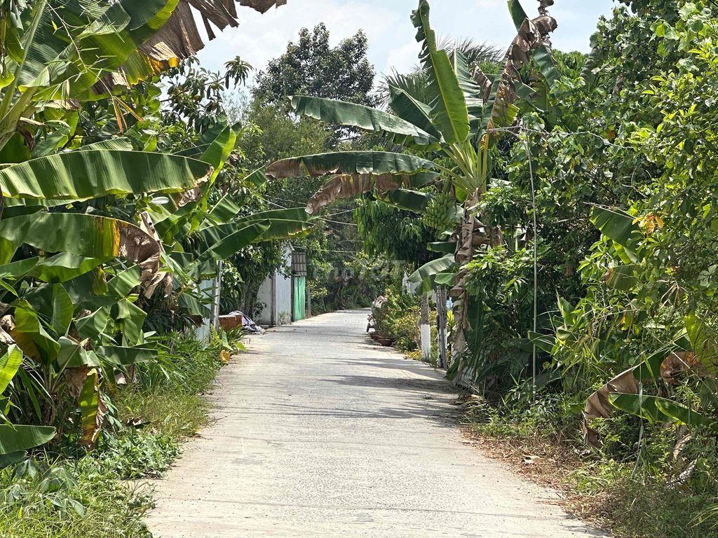 🏡 BÁN ĐẤT PHƯỜNG PHÚ THỨ – QUẬN CÁI RĂNG – CẦN THƠ 🏡  📍 Vị trí đẹp: Rạ