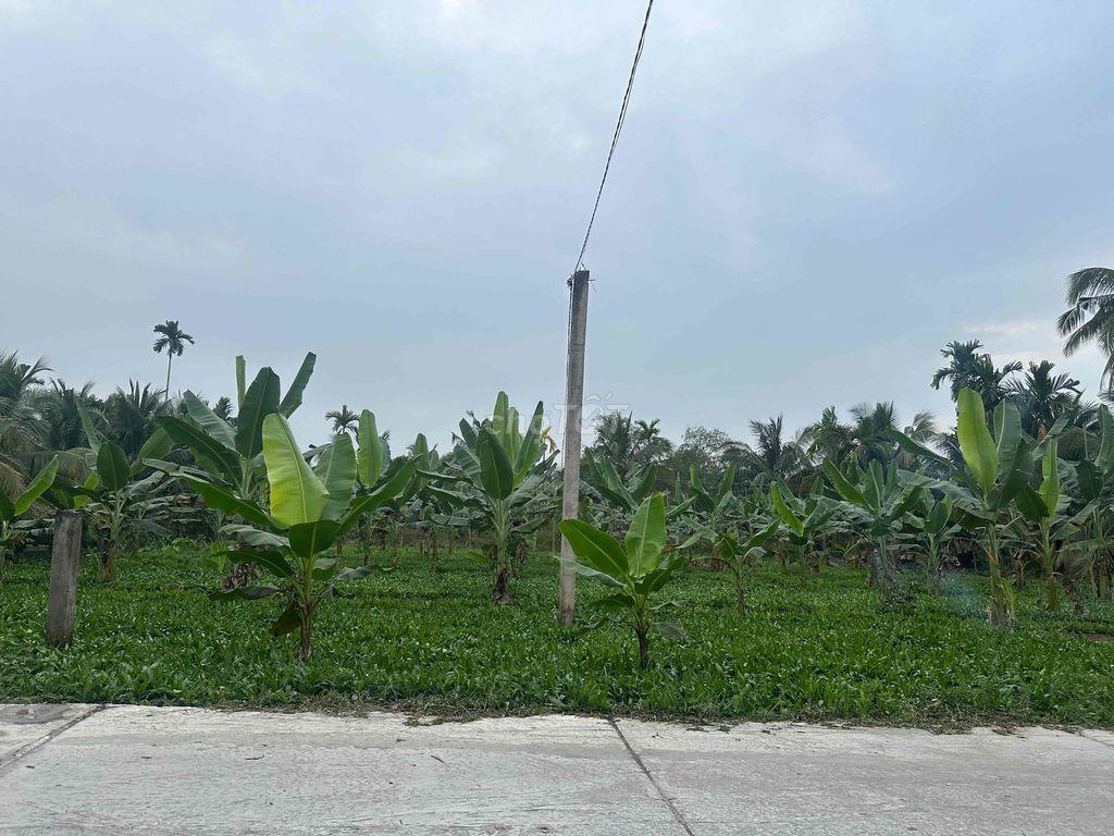🏡 BÁN ĐẤT PHƯỜNG PHÚ THỨ – QUẬN CÁI RĂNG – CẦN THƠ 🏡  📍 Vị trí đẹp: Rạ