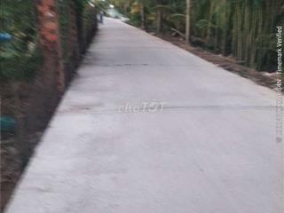 cho thuê phòng trọ tháng