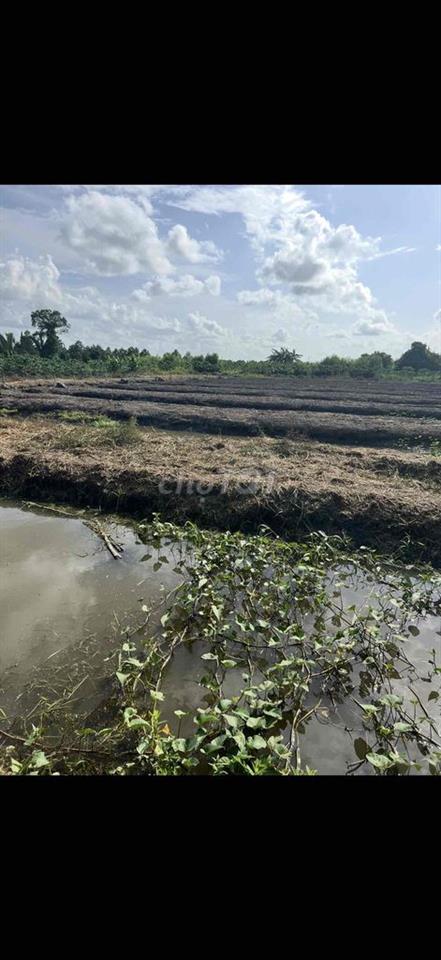 ban 6500m đất vườn thuộc xã Thạnh hoă