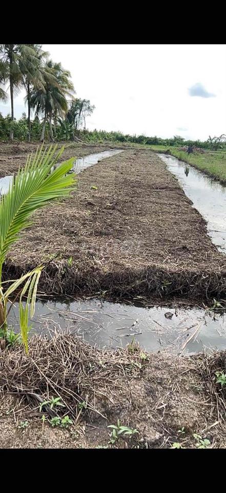 ban 6500m đất vườn thuộc xã Thạnh hoă