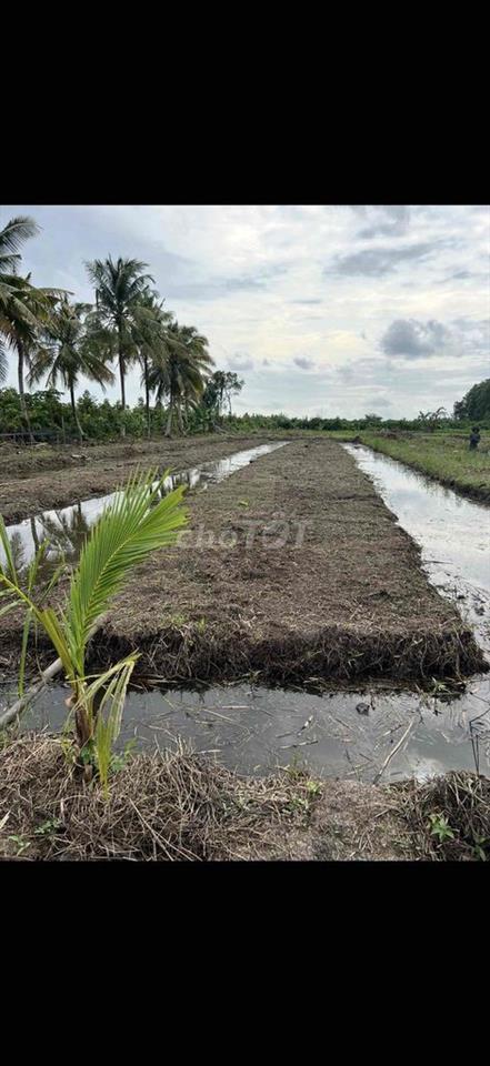 ban 6500m đất vườn thuộc xã Thạnh hoă