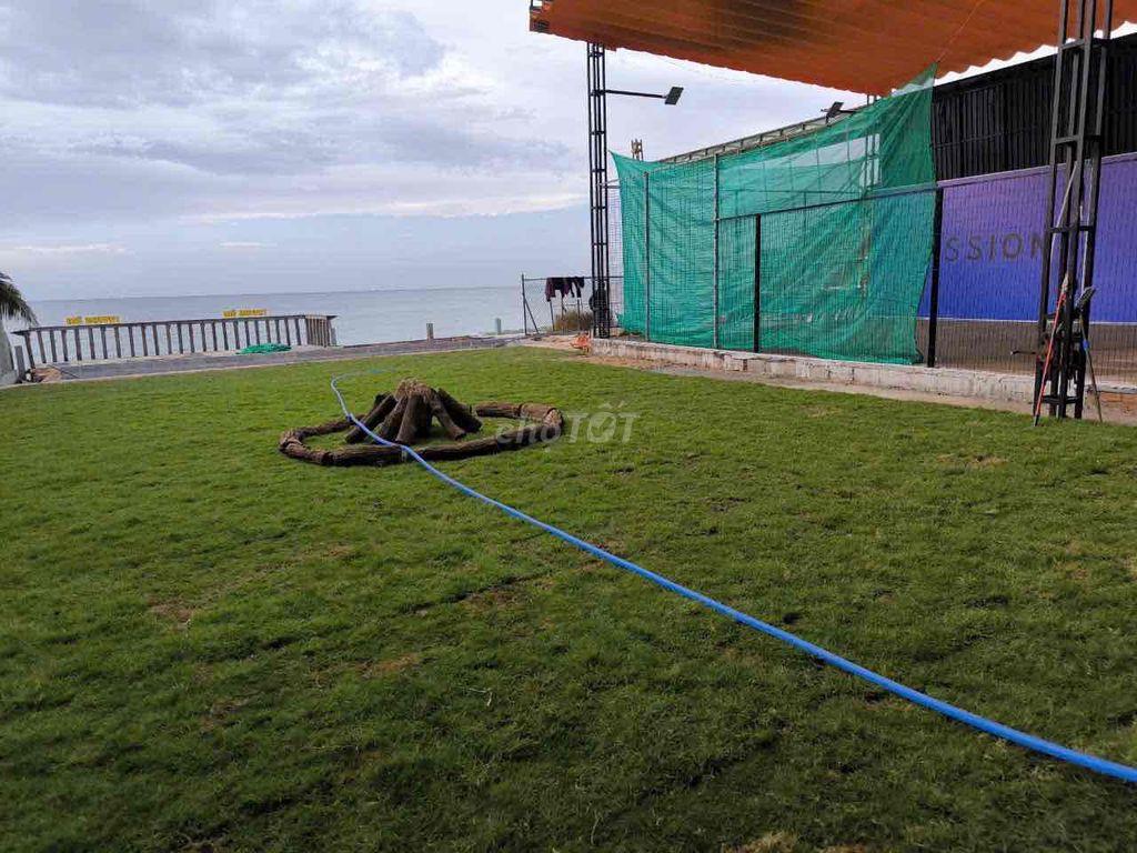 Cho thuê 1050m2 mặt biển Nguyễn Đình Chiểu, Mũi Né Phan Thiết giá 80tr