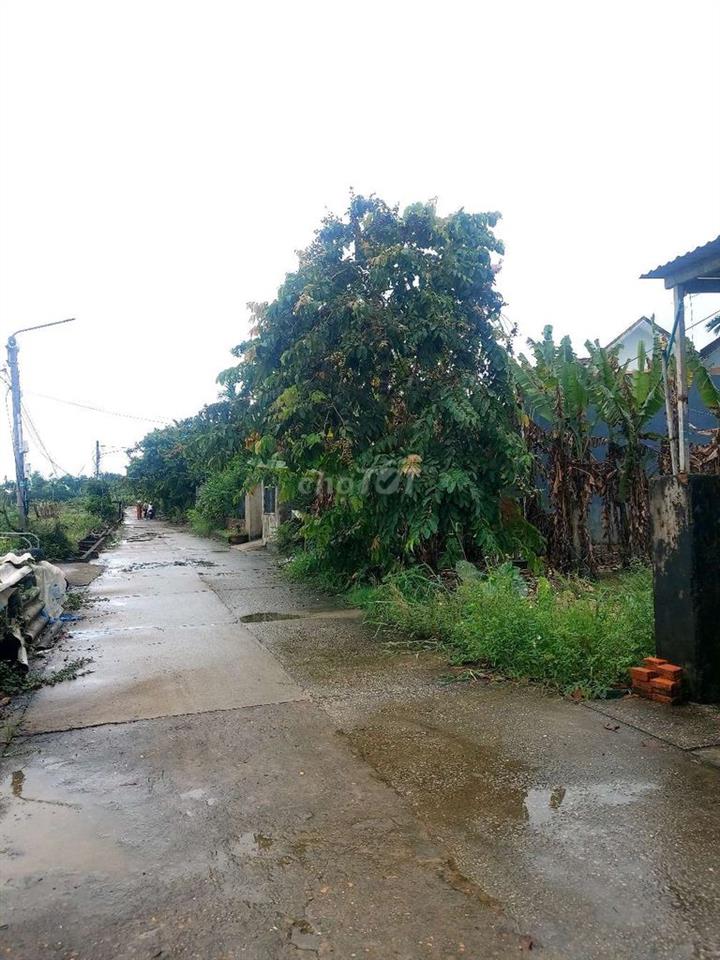 Bán gấp lô đất Cẩm Kim ngang 8,5m chỉ có 1,850 tỷ
