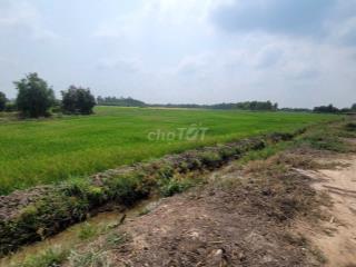 Chính chủ bán nhanh đất liền kề Vinhome Củ Chi