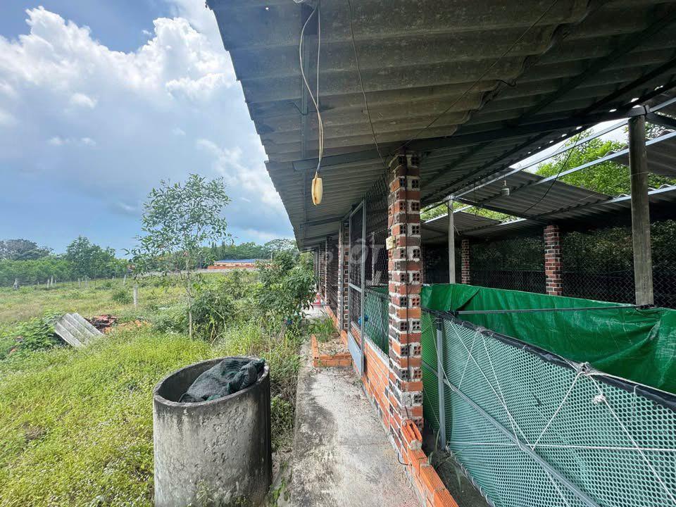 Bán 1000m2 Đất Ven Biển Sơn Mỹ - Sẵn 150m2 Thổ Cư - Đón Cao Tốc & KCN