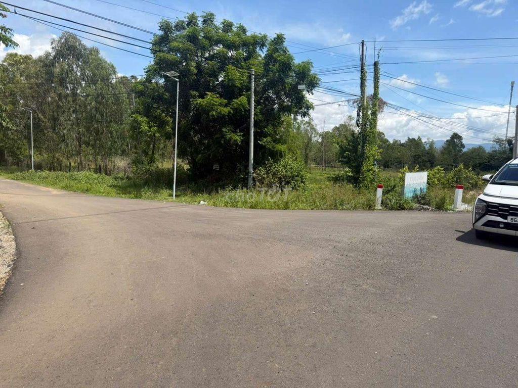 Bán đất MT quốc lộ 28B,diện tích 21000m, xã Phan Sơn, tỉnh Lâm Đồng