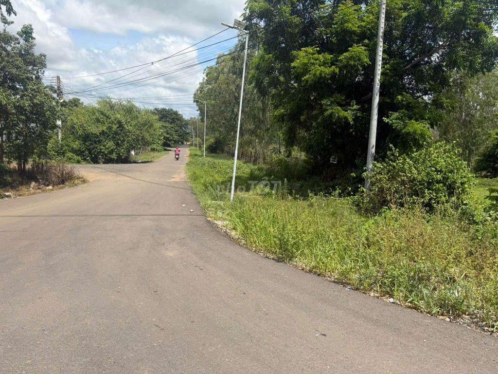 Bán đất MT quốc lộ 28B,diện tích 21000m, xã Phan Sơn, tỉnh Lâm Đồng