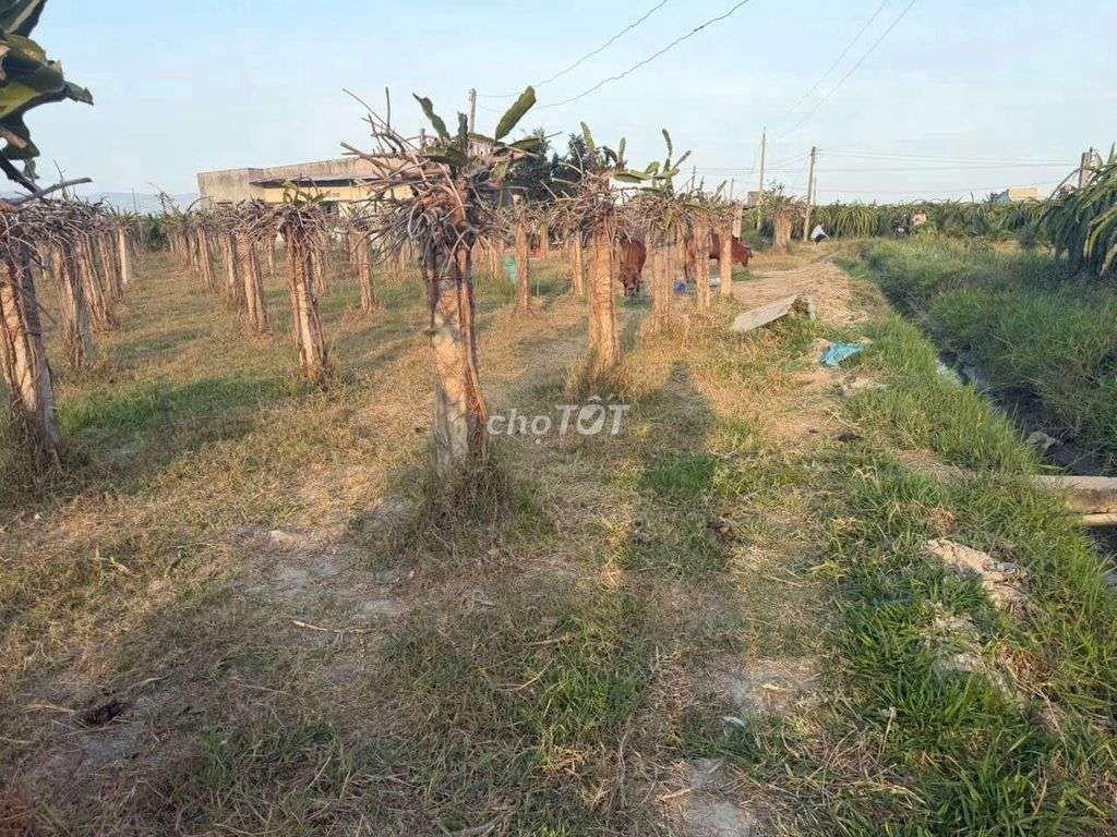 đất nông nghiệp, diện tích 2300m2, xã Bắc Bình, Tỉnh lâm đồng