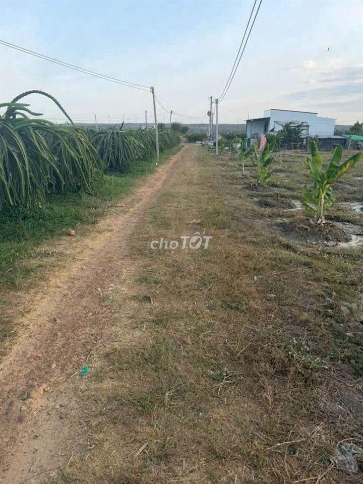 đất nông nghiệp, diện tích 2300m2, xã Bắc Bình, Tỉnh lâm đồng