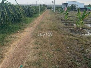 đất nông nghiệp, diện tích 2300m2, xã Bắc Bình, Tỉnh lâm đồng