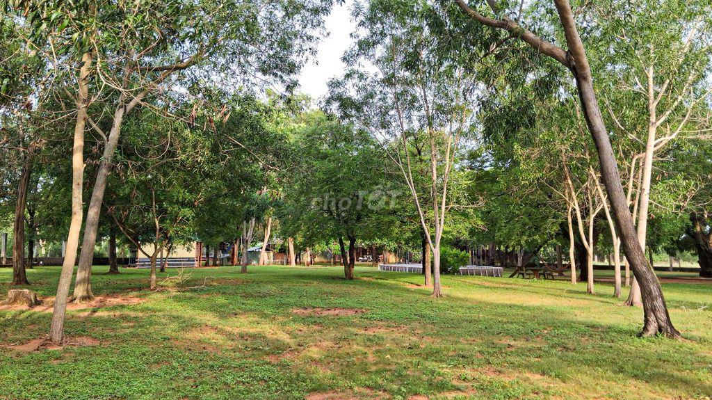 CHÍNH CHỦ CHUYỂN NHƯỢNG KHU ĐẤT ĐÃ ĐẦU TƯ HẠ TẦNG - 6.222,4M² - MŨI NÉ