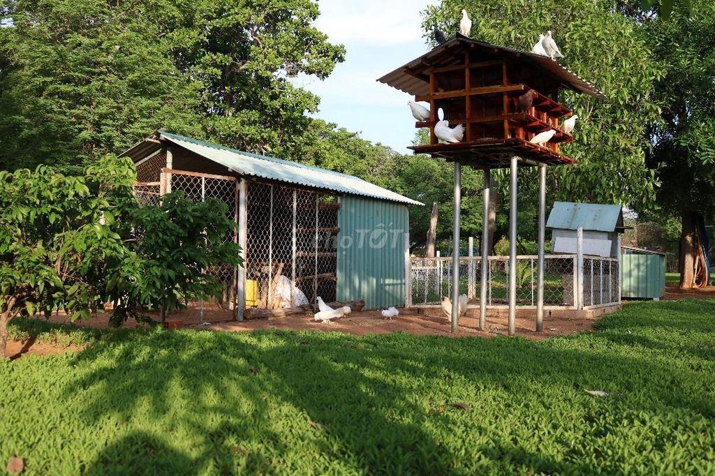 CHÍNH CHỦ CẦN BÁN 1.150M² ĐẤT MŨI NÉ, GIẤY TỜ ĐẦY ĐỦ