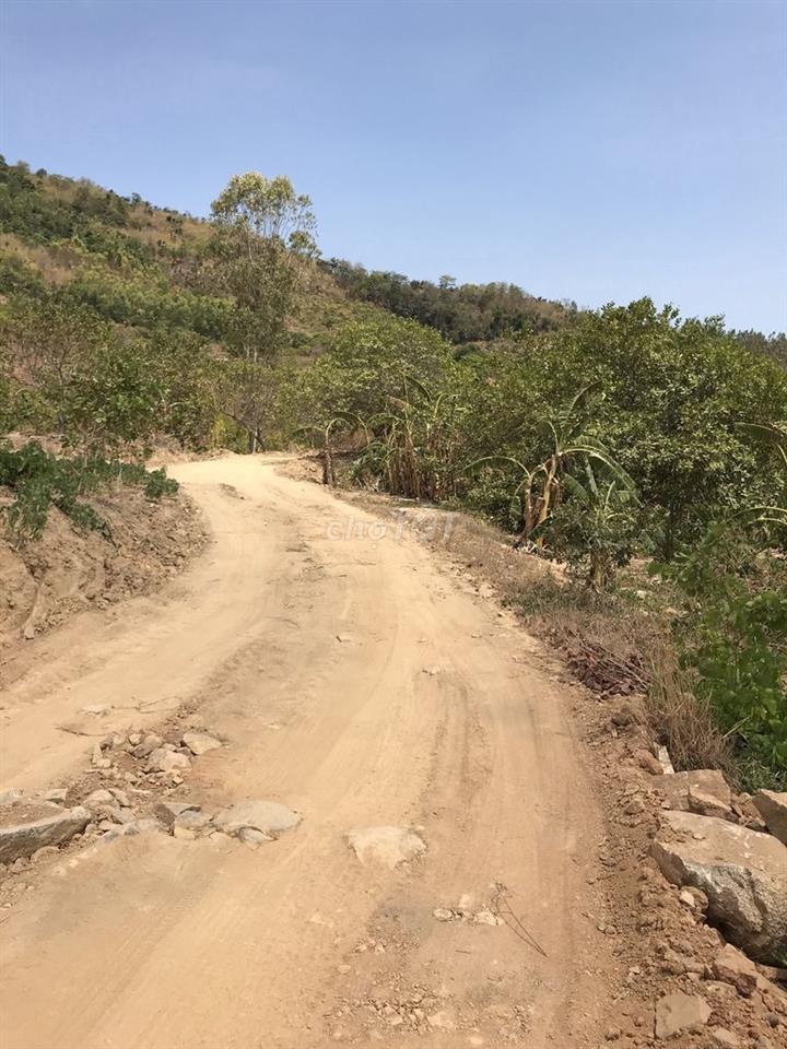 Bán 86677m2 (8,6 ha) đất tại xã Tân Minh, Lâm Đồng chỉ 190k/m2,