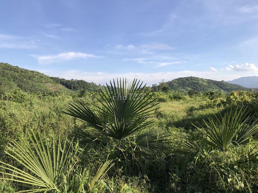 Bán 86677m2 (8,6 ha) đất tại xã Tân Minh, Lâm Đồng chỉ 190k/m2,