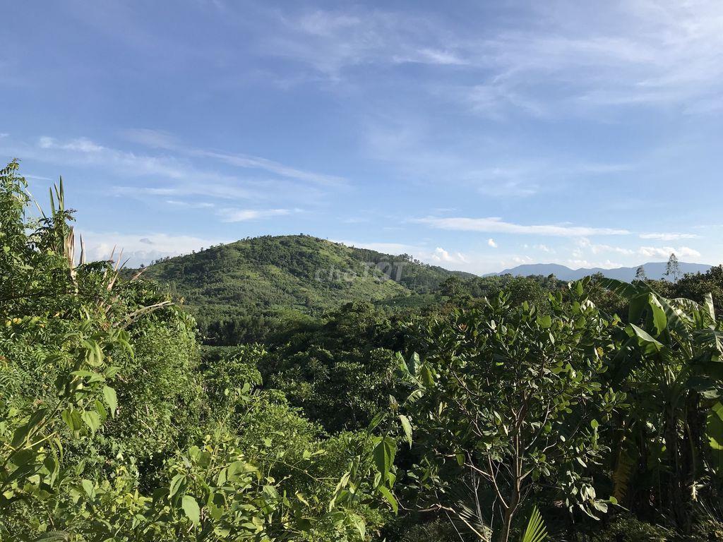 Bán 86677m2 (8,6 ha) đất tại xã Tân Minh, Lâm Đồng chỉ 190k/m2,