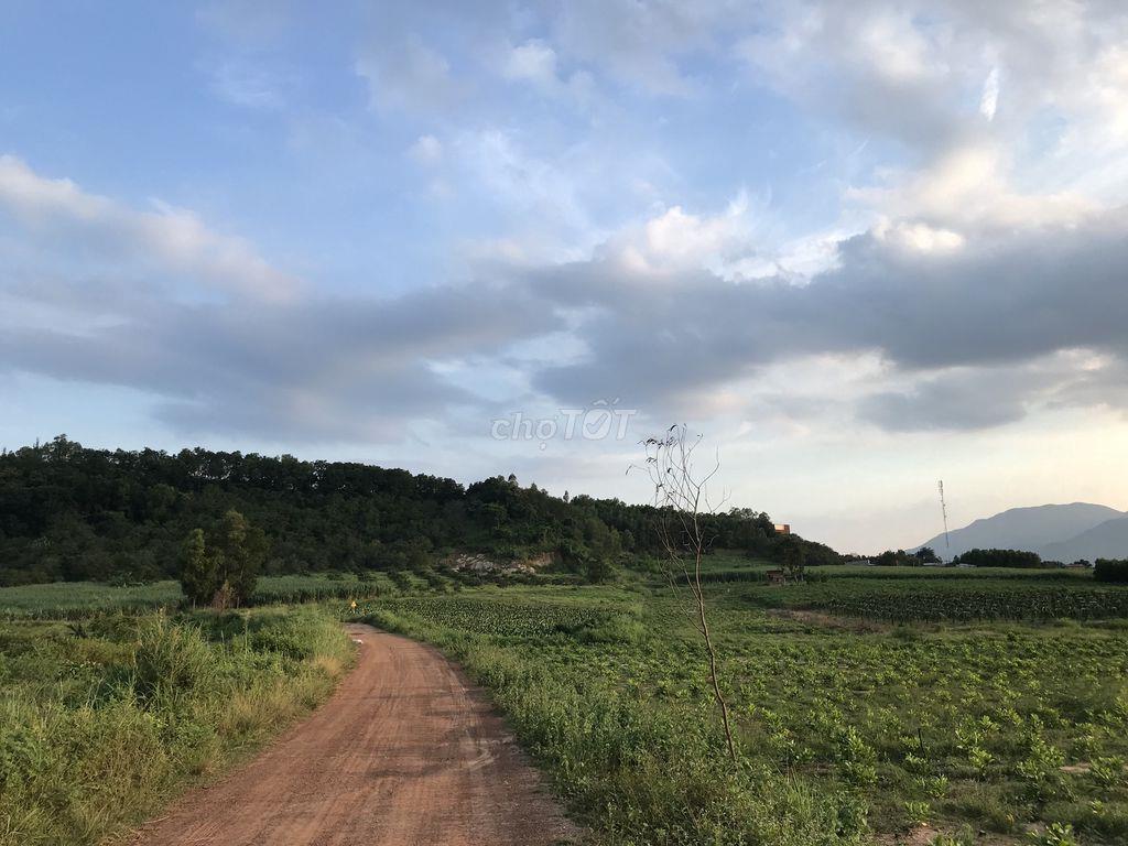Bán 86677m2 (8,6 ha) đất tại xã Tân Minh, Lâm Đồng chỉ 190k/m2,