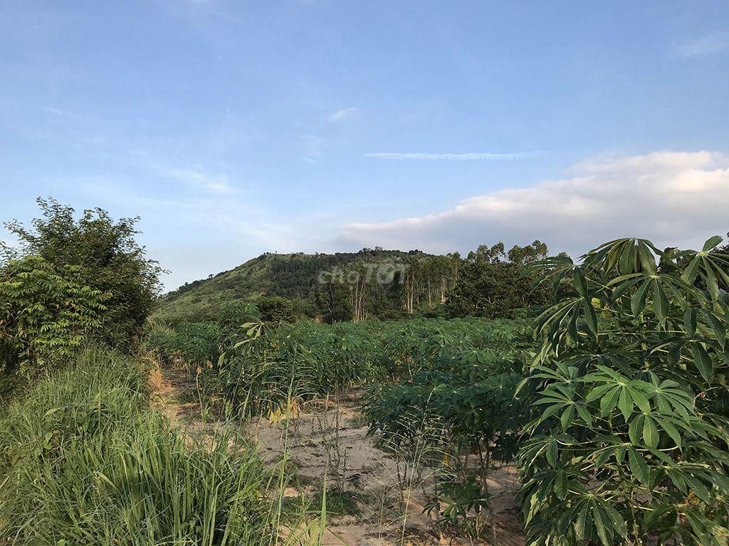 Bán 8863m2 giá rẻ 160k/m2, xã Tân Minh, Lâm Đồng, sát bên cao tốc, KCN