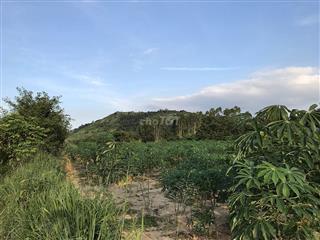 Bán 8863m2 giá rẻ 160k/m2, xã Tân Minh, Lâm Đồng, sát bên cao tốc, KCN