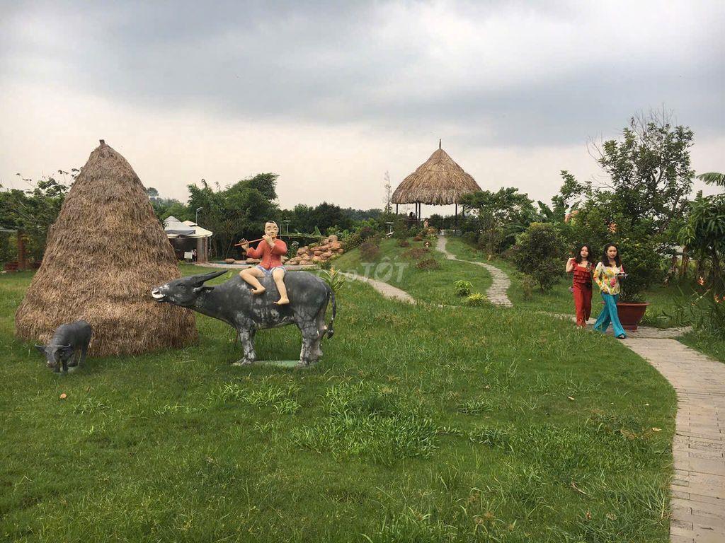 🔥 BẾN CÁT – GẦN 10.000m²  300m² THỔ CƯ  FULL HỒNG, ĐÃ XÂY KHU VUI CHƠI