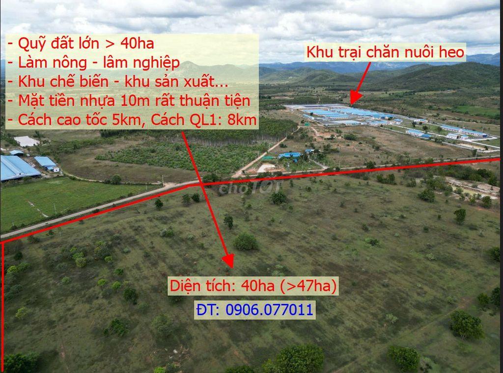 💎 QUỸ ĐẤT 40HA – DÀNH CHO DOANH NGHIỆP SẢN XUẤT