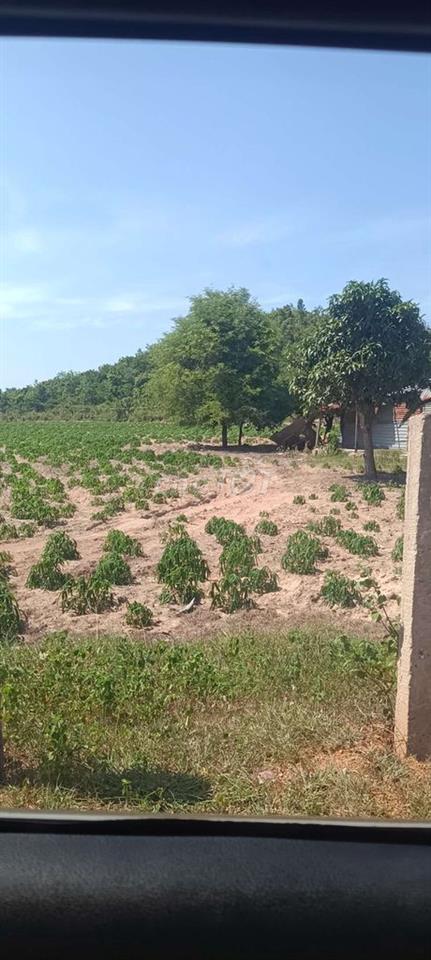Bán đất Bình thuận giá rẻ