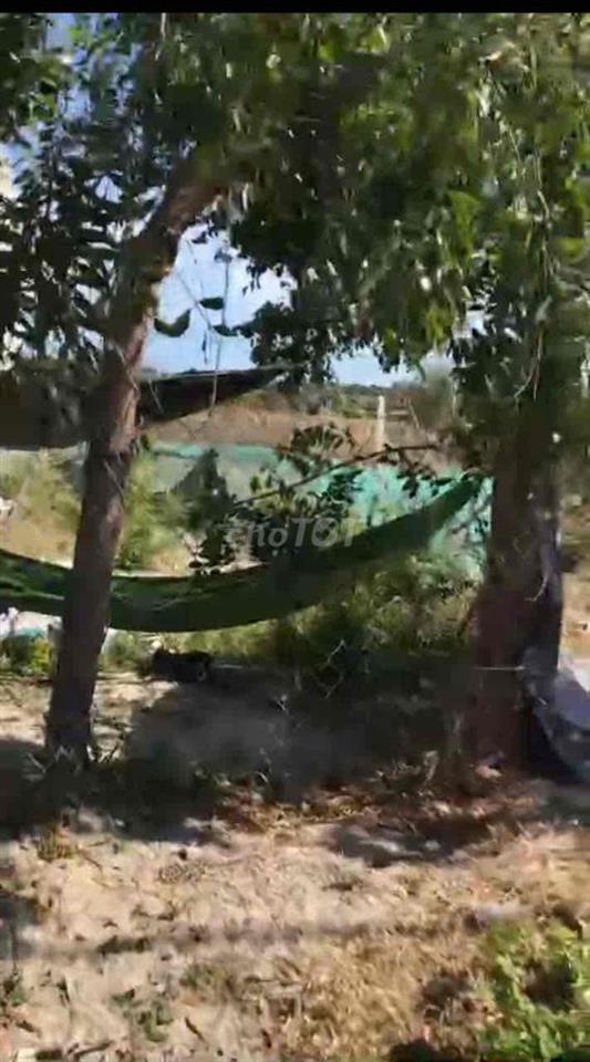 đầu tư hay nhà ở đều được,khu đô thị dân cư mới