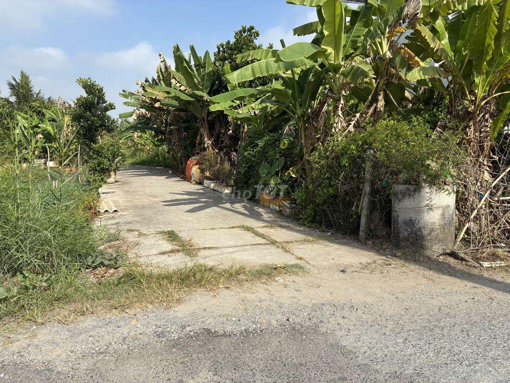 Bán đất 585m2 có 200m2 thổ cư ngang 9,55m giá 1,55 tỷ tại Long Phước