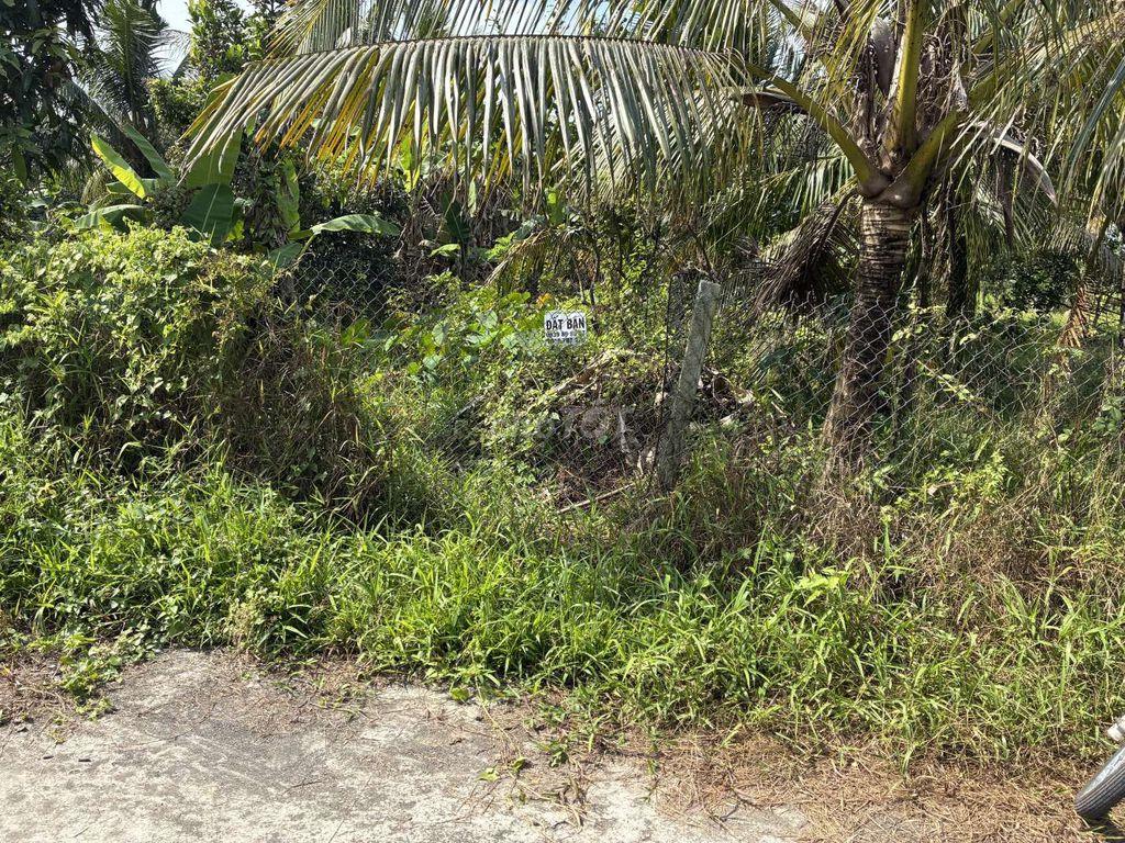 Bán đất 585m2 có 200m2 thổ cư ngang 9,55m giá 1,55 tỷ tại Long Phước