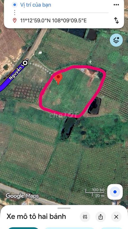 bán gấp đất Hàm Thuận Bắc, Phan Thiết