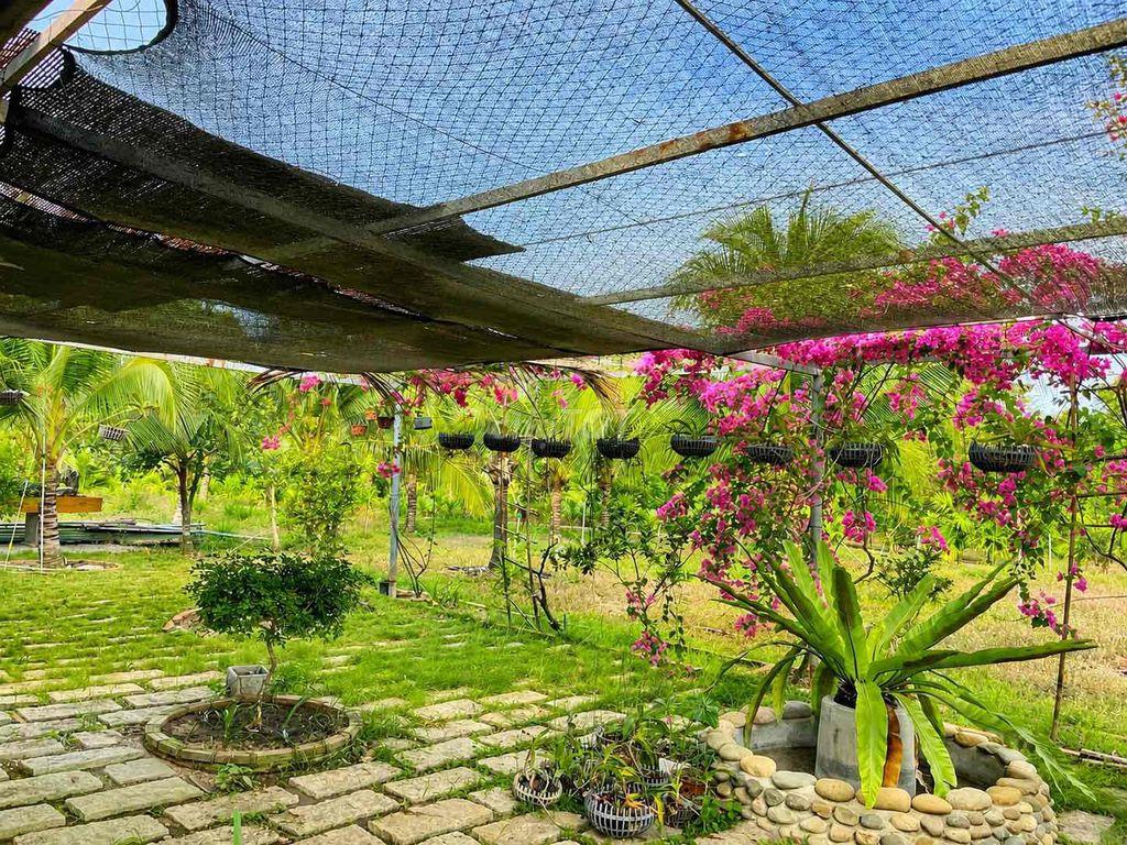 đất vườn view nghỉ dưỡng