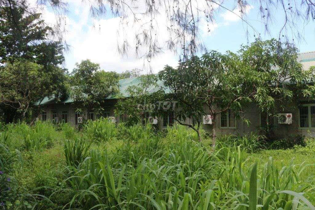 Bán khu Du lịch sinh thái Trung Thành Nam, xã Hàm Liêm