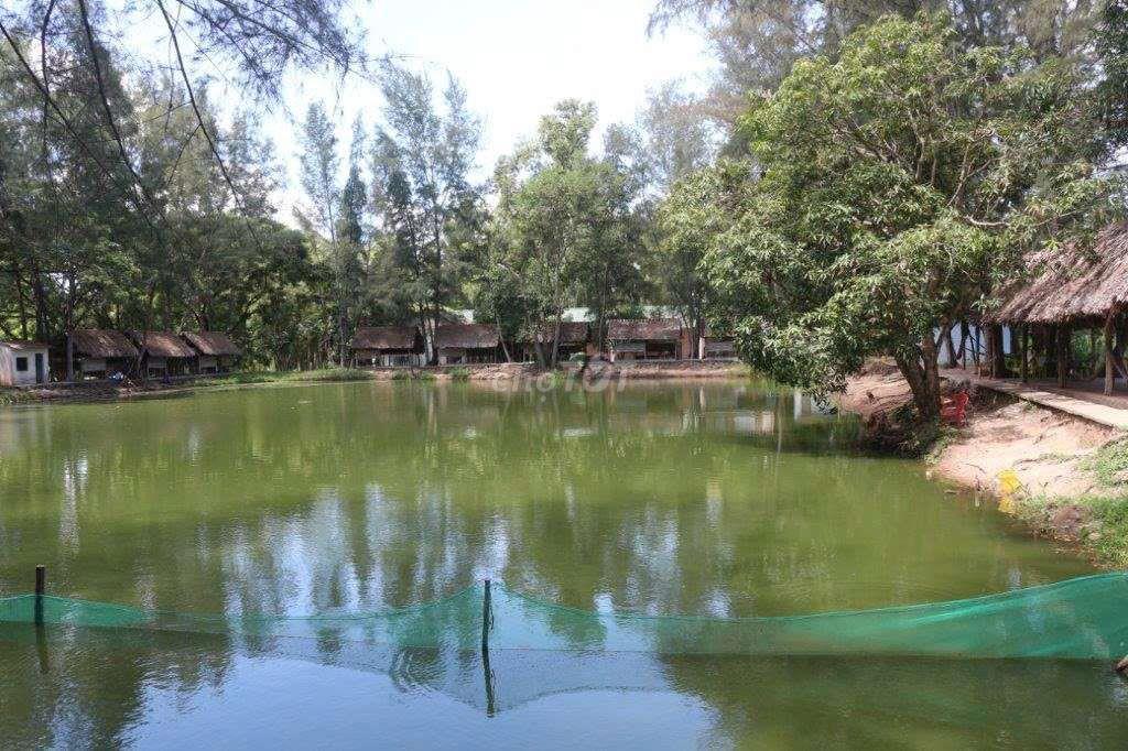 Bán khu Du lịch sinh thái Trung Thành Nam, xã Hàm Liêm