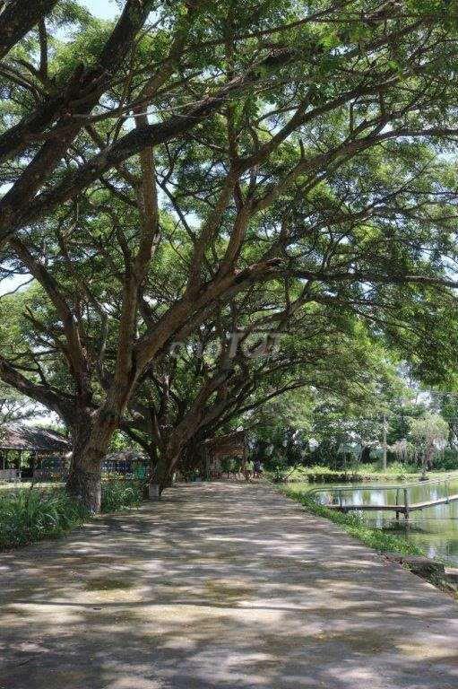 Bán khu Du lịch sinh thái Trung Thành Nam, xã Hàm Liêm