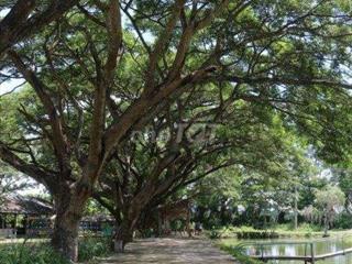 Bán khu Du lịch sinh thái Trung Thành Nam, xã Hàm Liêm