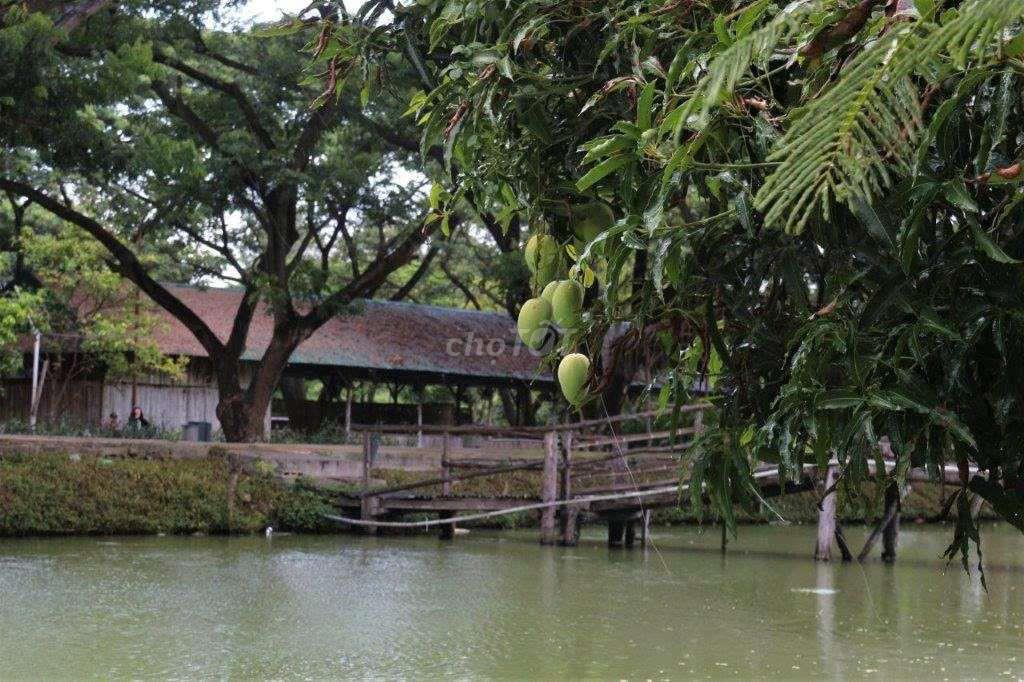 Bán khu Du lịch sinh thái Trung Thành Nam, xã Hàm Liêm