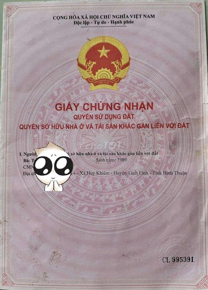 Bán đất gấp